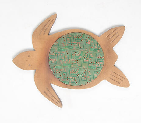 Turtle coaster full view