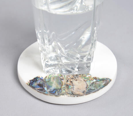 Abalone shell coasters full set view