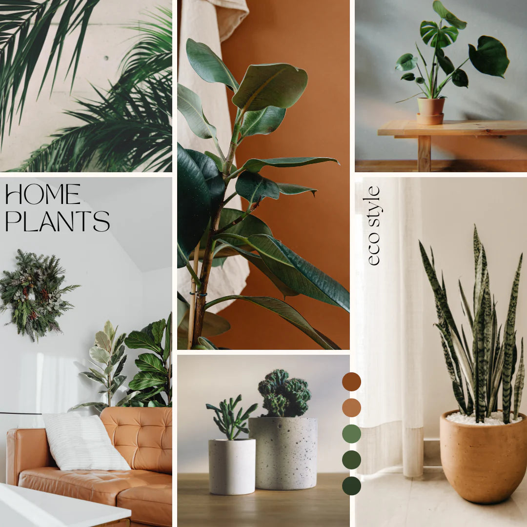 Planters