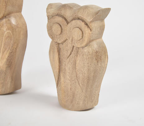 Hand-Carved Carved Wooden Owl Figurines (Set of 2)