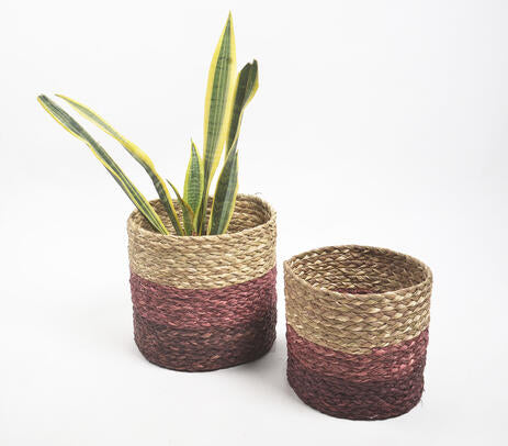 Earthy Sabai Grass Handwoven Planters – Set of 2